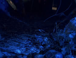 extant_XenaWarriorPrincess_6x02-TheHauntingOfAmphipolis_03209