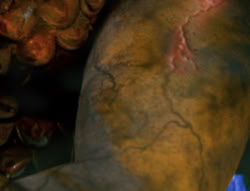 extant_XenaWarriorPrincess_6x02-TheHauntingOfAmphipolis_03350