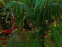 extant_XenaWarriorPrincess_6x03_HeartOfDarkness_00863