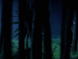 extant_XenaWarriorPrincess_6x03_HeartOfDarkness_02806
