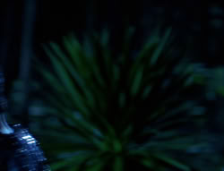 extant_XenaWarriorPrincess_6x03_HeartOfDarkness_02820