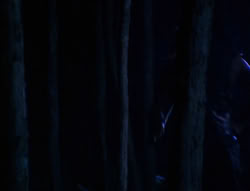 extant_XenaWarriorPrincess_6x03_HeartOfDarkness_02821