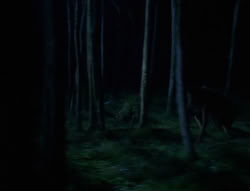 extant_XenaWarriorPrincess_6x03_HeartOfDarkness_02833