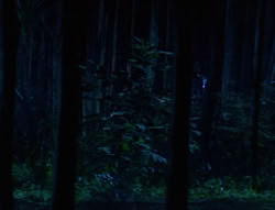 extant_XenaWarriorPrincess_6x03_HeartOfDarkness_02835