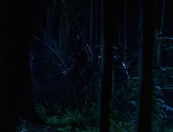 extant_XenaWarriorPrincess_6x03_HeartOfDarkness_02837