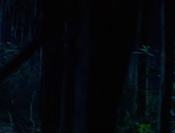extant_XenaWarriorPrincess_6x03_HeartOfDarkness_02838