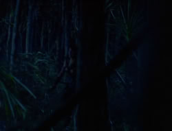extant_XenaWarriorPrincess_6x03_HeartOfDarkness_02839