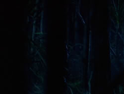 extant_XenaWarriorPrincess_6x03_HeartOfDarkness_02840