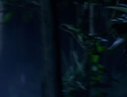 extant_XenaWarriorPrincess_6x03_HeartOfDarkness_02863