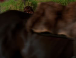extant_XenaWarriorPrincess_6x04_WhosGurkhan_00028