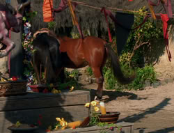 extant_XenaWarriorPrincess_6x04_WhosGurkhan_00043
