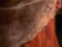 extant_XenaWarriorPrincess_6x04_WhosGurkhan_01679