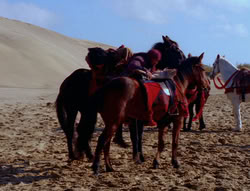 extant_XenaWarriorPrincess_6x05-Legacy_00362