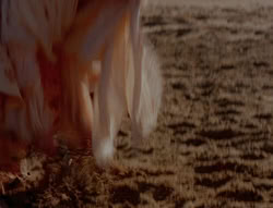 extant_XenaWarriorPrincess_6x05-Legacy_00380