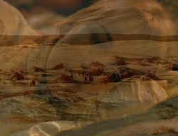 extant_XenaWarriorPrincess_6x05-Legacy_00993