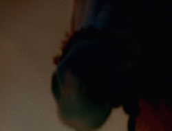 extant_XenaWarriorPrincess_6x05-Legacy_01508
