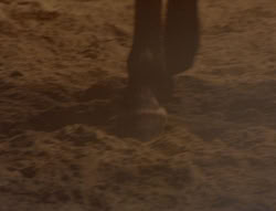 extant_XenaWarriorPrincess_6x05-Legacy_01544