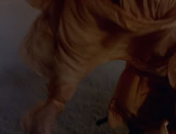 extant_XenaWarriorPrincess_6x05-Legacy_01563