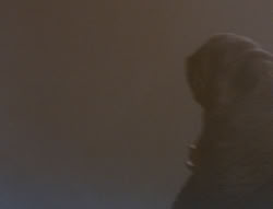 extant_XenaWarriorPrincess_6x05-Legacy_01617