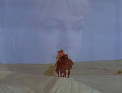 extant_XenaWarriorPrincess_6x05-Legacy_01794