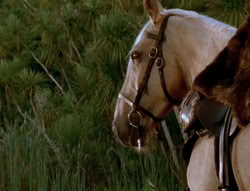 extant_XenaWarriorPrincess_6x05-Legacy_02309