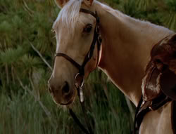 extant_XenaWarriorPrincess_6x05-Legacy_02311