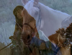 extant_XenaWarriorPrincess_6x05-Legacy_02312