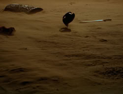 extant_XenaWarriorPrincess_6x05-Legacy_03505