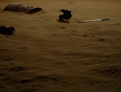 extant_XenaWarriorPrincess_6x05-Legacy_03506