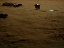extant_XenaWarriorPrincess_6x05-Legacy_03507
