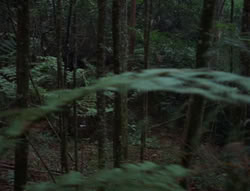 extant_XenaWarriorPrincess_6x06-TheAbyss_00012