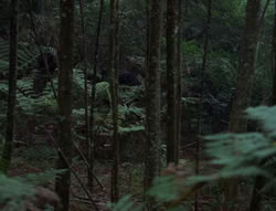 extant_XenaWarriorPrincess_6x06-TheAbyss_00013