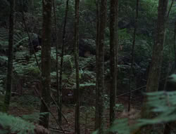 extant_XenaWarriorPrincess_6x06-TheAbyss_00015