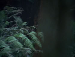 extant_XenaWarriorPrincess_6x06-TheAbyss_00024