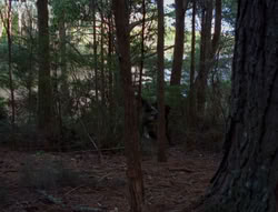 extant_XenaWarriorPrincess_6x06-TheAbyss_00037