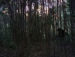 extant_XenaWarriorPrincess_6x06-TheAbyss_00042