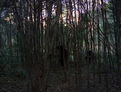 extant_XenaWarriorPrincess_6x06-TheAbyss_00043