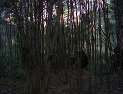 extant_XenaWarriorPrincess_6x06-TheAbyss_00044