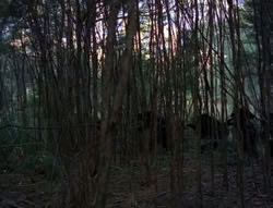 extant_XenaWarriorPrincess_6x06-TheAbyss_00045