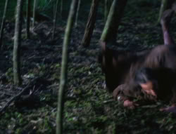 extant_XenaWarriorPrincess_6x06-TheAbyss_00046