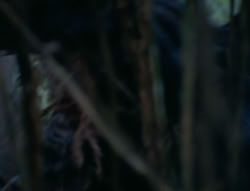 extant_XenaWarriorPrincess_6x06-TheAbyss_00050