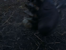 extant_XenaWarriorPrincess_6x06-TheAbyss_00065