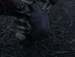 extant_XenaWarriorPrincess_6x06-TheAbyss_00066