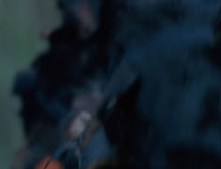 extant_XenaWarriorPrincess_6x06-TheAbyss_00075