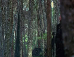 extant_XenaWarriorPrincess_6x06-TheAbyss_00100
