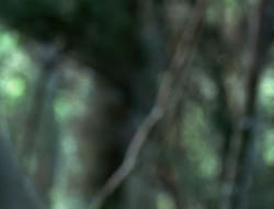 extant_XenaWarriorPrincess_6x06-TheAbyss_00102