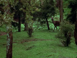 extant_XenaWarriorPrincess_6x06-TheAbyss_00108