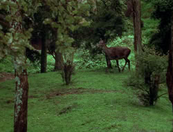 extant_XenaWarriorPrincess_6x06-TheAbyss_00109