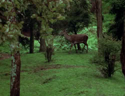 extant_XenaWarriorPrincess_6x06-TheAbyss_00110