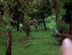 extant_XenaWarriorPrincess_6x06-TheAbyss_00127